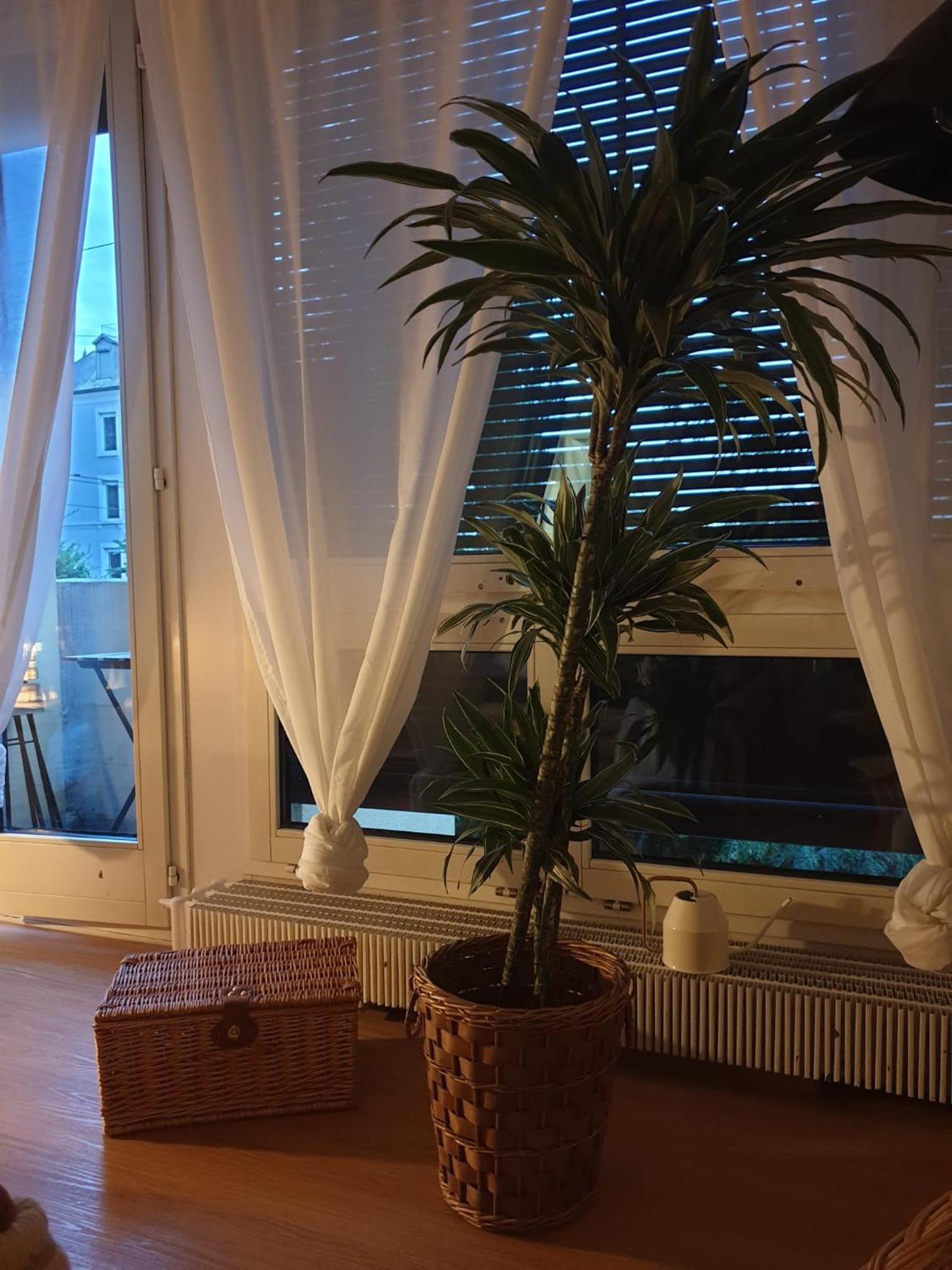 El Destino Apartments زيورخ المظهر الخارجي الصورة